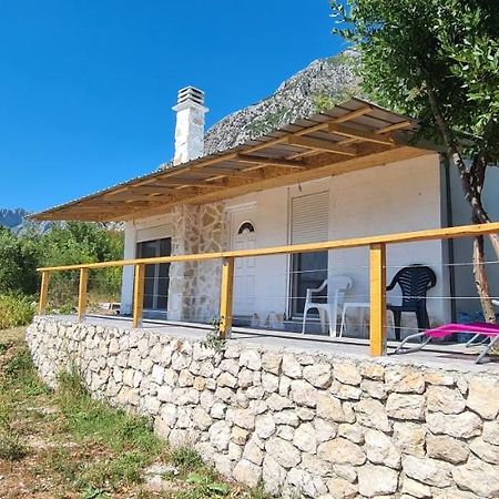Home Of Laurel Kotor Exterior foto
