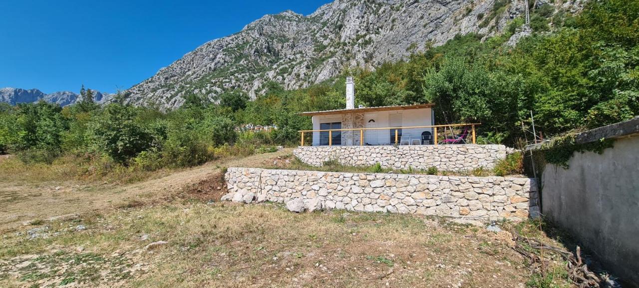 Home Of Laurel Kotor Exterior foto